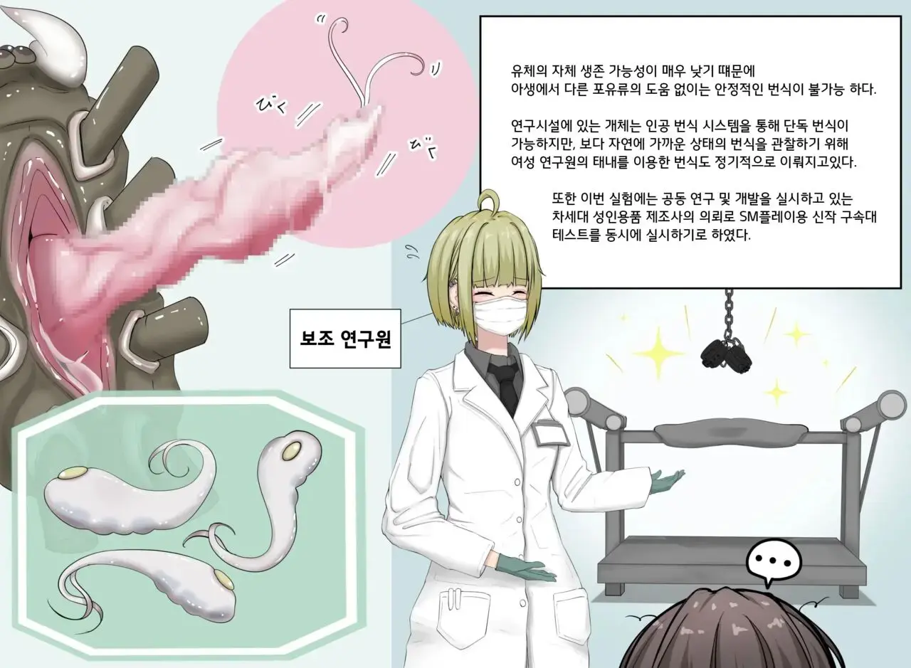 Insect Research Report
